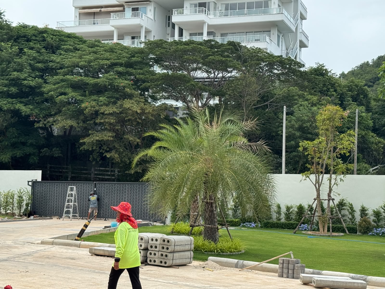 Landscaped communal area at The Vista Hua Hin with mature palm trees, lawn, boundary planting and entrance works.